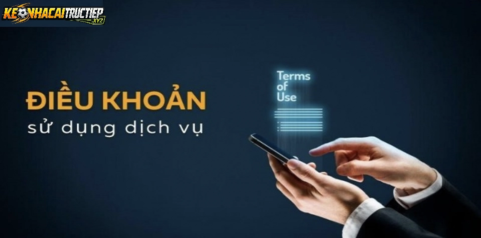 Điều Khoản Sử Dụng Là Gì?