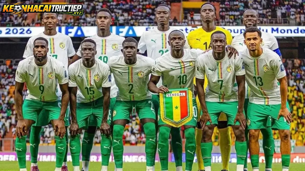 Dự Đoán Kết Quả Pháp vs Senegal World Cup