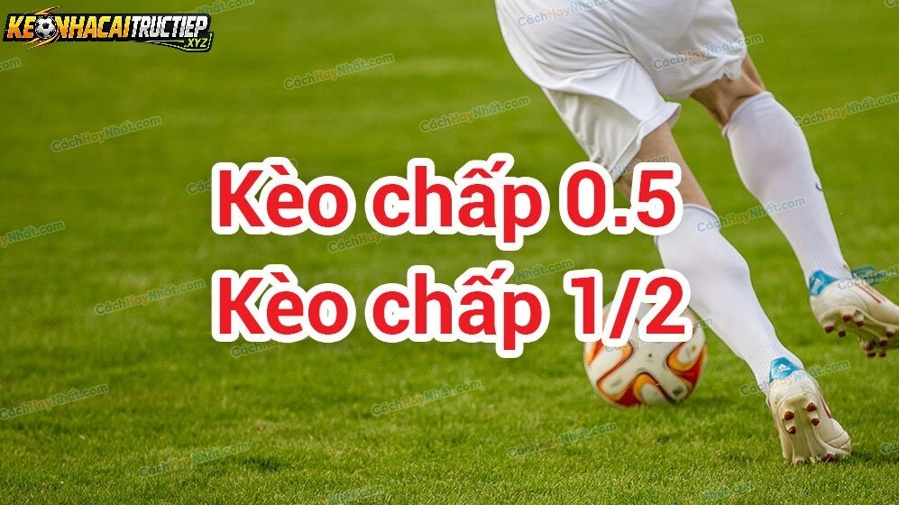 Kèo Chấp 1/2 Là Gì?