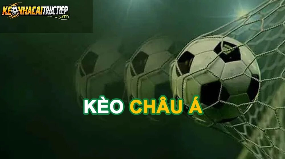 Quan Tâm Đến Đội Hình Và Tình Hình Lực Lượng