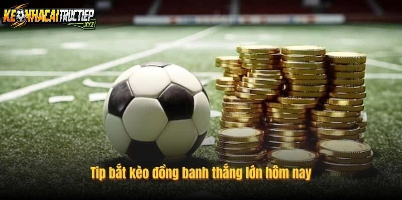 Khi Nào Nhà Cái Đưa Ra Kèo Đồng Banh?