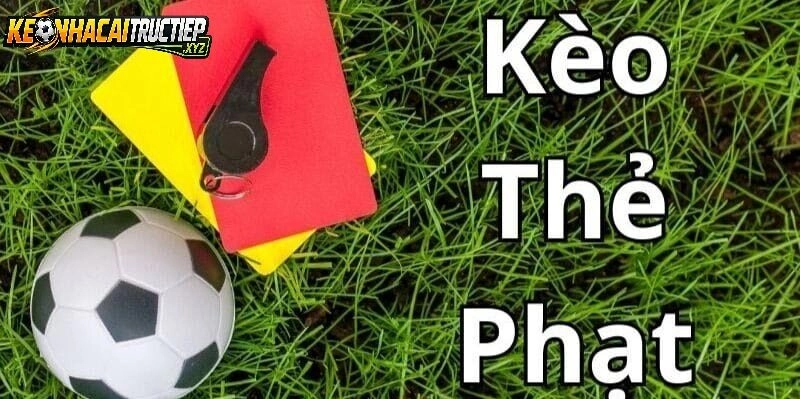 Tránh Đặt Cược Theo Cảm Xúc