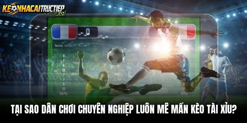 Cách Đọc Biến Động Kèo Tài Xỉu